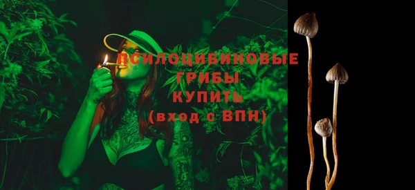 гидра Магас