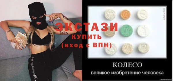 гидра Магас