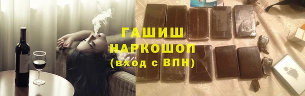 гидра Магас