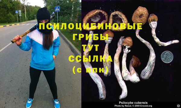 соль курить ск Майский