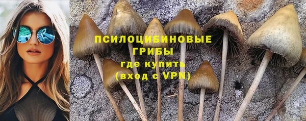гидра Магас