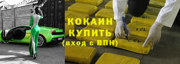 гидра Магас