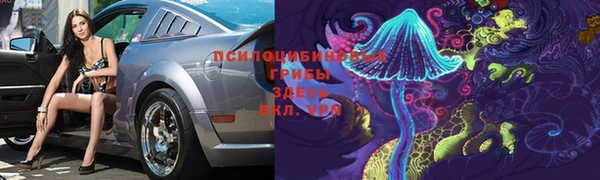 гидра Магас