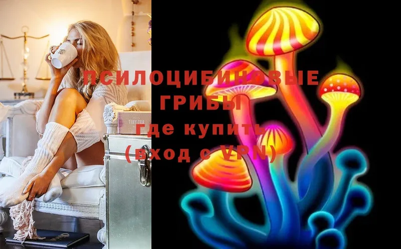 Галлюциногенные грибы Magic Shrooms  наркошоп  Нальчик 