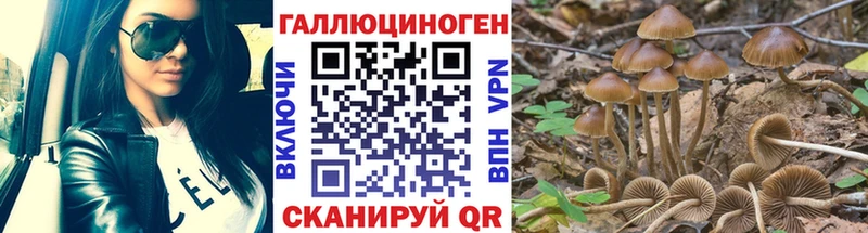 Псилоцибиновые грибы ЛСД  МЕГА ССЫЛКА  Нальчик 